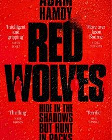 Read A Book on Us From The Best New Thriller Books of 2021 In Prickly Juice Awards